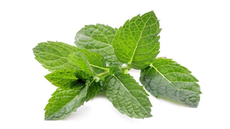 Mint en valeur zxcvbnmq